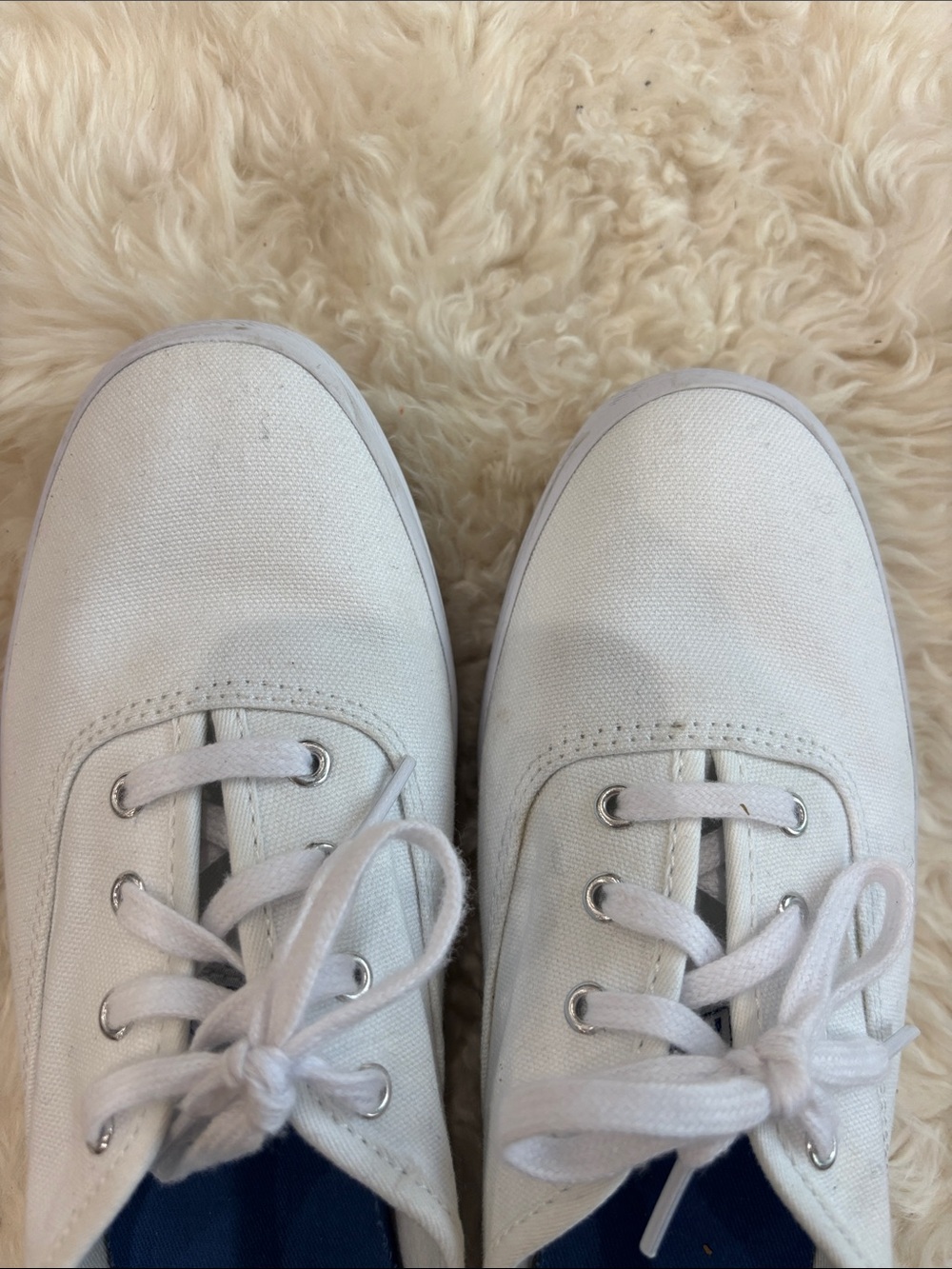Keds Canvas Lace-Up Sneakers - Picture 3 of 13